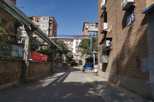 南厂住宅东区居住体验全解析 优缺点、现状与周边中介评价